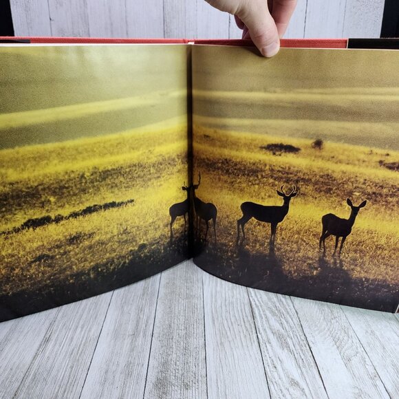 Fire Of Life: The Smithsonian Book Of The Sun 1981 Hardcover Vintage - Picture 7 of 7